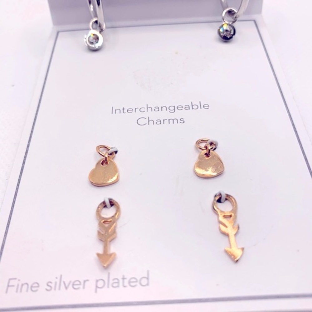 Gold and Silver Interchangeable Earrings Set with Charms